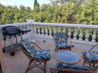 Villa de standing avec gd jardin arboré près d'Argelès sur Mer - Saint-André - 3