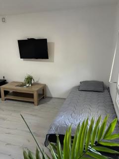 Apartman Soni Jagodina- free jacuzzi, private parking - Kolonije - 3