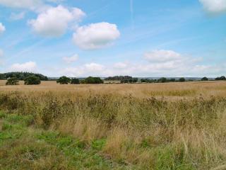 Graham Cottage - Thurning - 9
