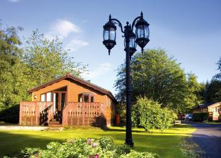 Angecroft Park - Ettrick - 6