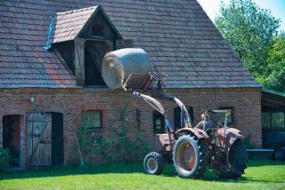 Hof-Silberweide - - 2