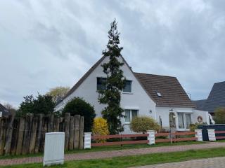 Ankerplatz 1 - Zingst - 9