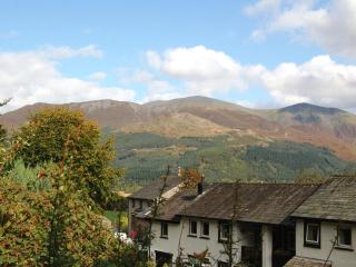 Thwaite Hill Cottage - Braithwaite - 4