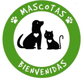 Apartamentos Caloca - 4