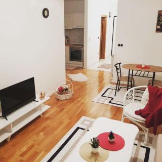 Apartment Bulevar Sarajevo - Sarajevo - 0