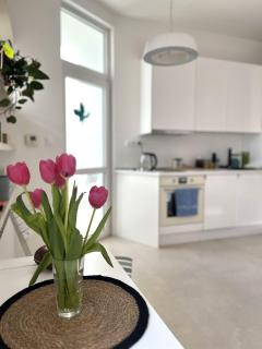 Apartmán Olomouc - Olomouc - 8