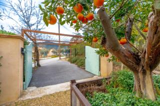 Nice air-conditioned house with flower garden - 4
