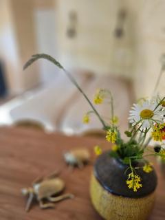 Tiny House De Spjocht - Westergeest - 2