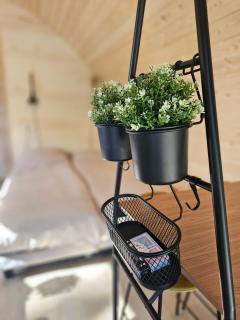 Tiny House De Spjocht - Westergeest - 1