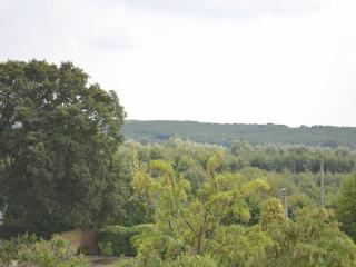 Cedars - Fordwich - 2