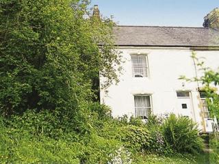 Tacker Street Cottage - Withycombe - 0