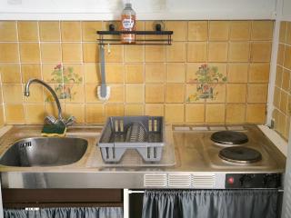 STUDIO en face de la forêt de FONTAINEBLEAU - 7