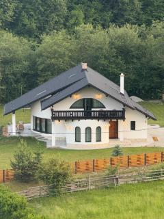 Julien House - Prisaca Dornei - 0