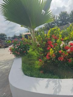 Madora Lodge - - 3