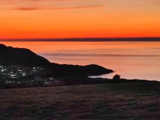 Ceiliog Bach - Llangennith - 0