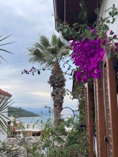 Pangea Sığacık Suite Hotel & Bistro - 6