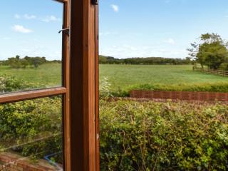 The Roost - Holme next the Sea - 9
