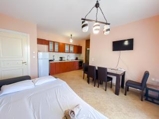 Katsirma Family 1 Bdr Apartment - Nea Kallikratia - 9