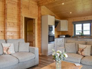 Birch Lodge - Uk30006 - Lindal in Furness - 6