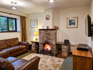 Oakleigh Cottage - Llangelynin - 9