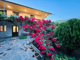 Guesthouse Mtkvari - Nak'alak'evi - 8