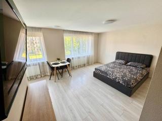 Daugavpils Central apartment ARELIJA - Daugavpils - 6
