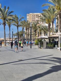 Appartement a louer a Torrevieja 100m de la plage - Torrevieja - 6
