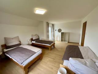 Ferienhaus am Vogelsang - Meschede - 3
