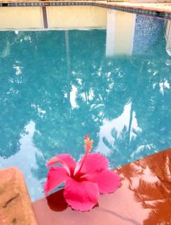 Sun Kissed Holidays Dabolim Goa Gold - Bogmalo - 9