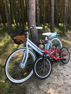 U Wikinga - Domki letniskowe w Mielnie - Mielno - 2