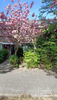B&B Het Heusje - Zaandam - 0