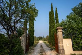 Fabuleux mas en Provence - Orange - 4