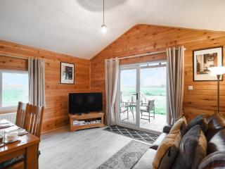 Llwynog Lodge - Montgomery - 9