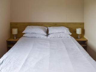 Forest Retreat - Saxmundham - 5