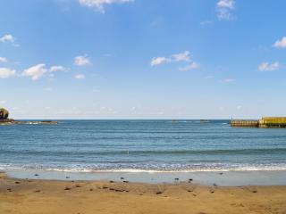 Doodles Holiday Home - Eyemouth - 1