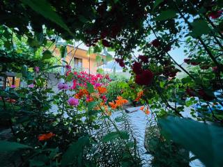 Guesthouse Mtkvari - Nak'alak'evi - 3