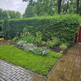 Rusnės žvejas - Rusnė - 4