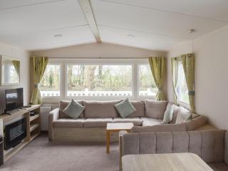 Forest Retreat - Saxmundham - 9