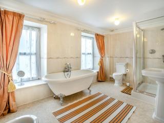 Brynog Mansion Apartment - Cilcennin - 7