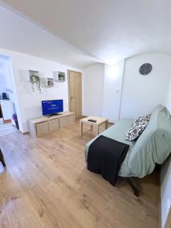 Zoubkova apartment - 2 rooms near exhibition center - Nový Lískovec - 5