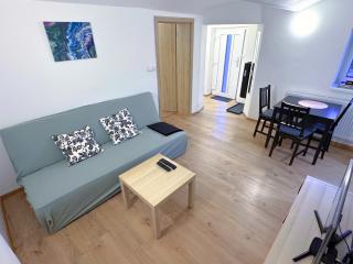 Zoubkova apartment - 2 rooms near exhibition center - Nový Lískovec - 0