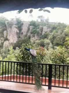 Bluevalley Estate - Three Bedroom Villa - Yercaud - 8