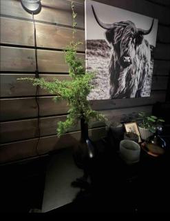 Karnes Lodge - - 3