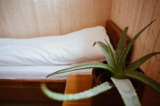 Beach apartment with unique view -  - 9