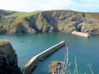 Rosewater Lodge - Saint Teath - 6