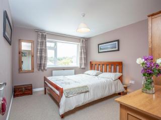 Driftwood Cottage - Galmpton - 6