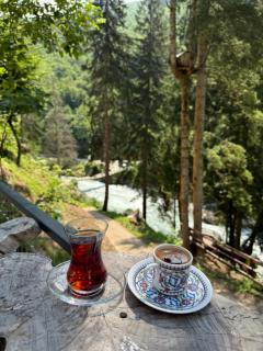 Berona Dağ Evleri - Çamlıhemşin - 7