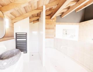Chalet Ferme Sainte Marie - LA FERME DE SAINTE MARIE MAE-1021 - 1