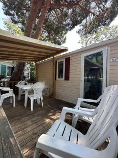 Mobil Home climatisé 2 chambres Sous les pins - 2