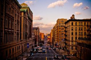 Sunny 4BR/2BA Retreat in Morningside Heights, NYC - 8
